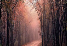 丹麦对阵瑞士的足球比赛有哪些精彩看点？