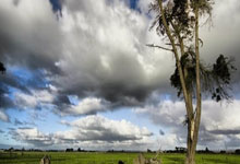 世界杯足球怎么买输赢？合法玩法+理性策略看这里